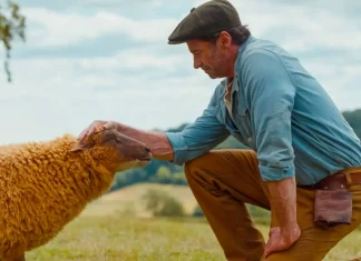 Movie review: ‘Sheep Detectives’ weaves a charming yarn