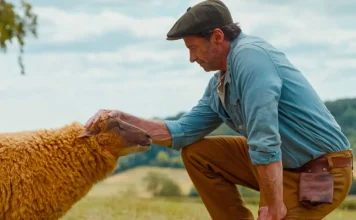 Movie review: ‘Sheep Detectives’ weaves a charming yarn