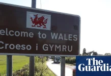 ‘Tisio peint? Or: Do you fancy a pint? | Culture