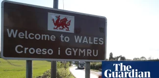 ‘Tisio peint? Or: Do you fancy a pint? | Culture