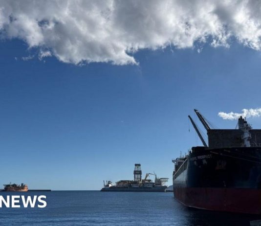 Tenerife medics poised for arrival of virus-hit cruise ship – BBC