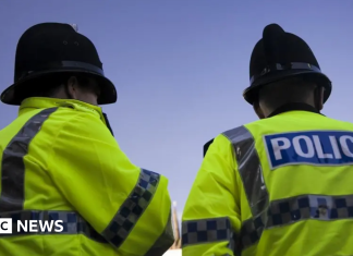 Man arrested in Sussex after woman reports rape in Somerset
