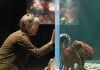 'Remarkably Bright Creatures': A character-driven drama | Movies | davisenterprise.com