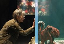 'Remarkably Bright Creatures': A character-driven drama | Movies | davisenterprise.com