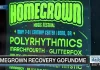 Homegrown Music Festival loses money after major changes | Local News