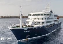 Hantavirus latest: Virus-hit cruise ship leaves Cape Verde for Canary Islands after patients evacuated