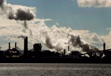 Study links air pollution to poorer brain health