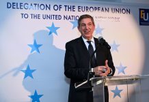 Europe Day NYC 2026: Celebrating Unity, Culture, and Justice