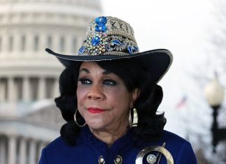 Frederica Wilson will not seek re-election in CD 24