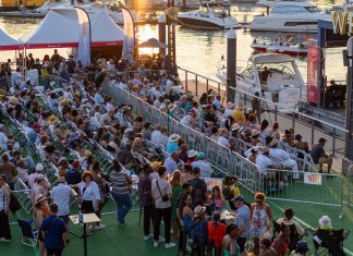 12 Summer Concerts and Music Festivals in the DC Area