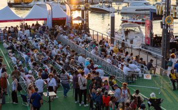 12 Summer Concerts and Music Festivals in the DC Area