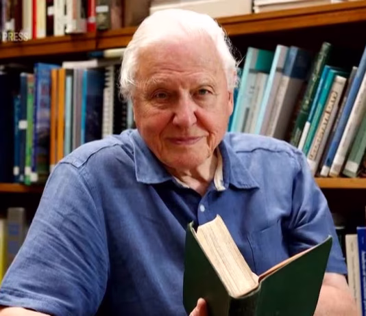 David Attenborough, the excited but hushed voice of nature programs, turns 100