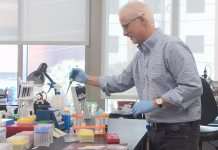A genetic breakthrough? MUSC team works toward autism treatment