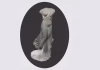 Met Gala 2026: When and where to watch fashion’s biggest night live