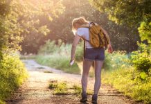 The scent of supper: Can mosquitoes learn to love DEET?