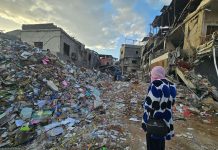 Annihilating South Lebanon: What we know so far about ecocide and urban devastation