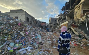 Annihilating South Lebanon: What we know so far about ecocide and urban devastation
