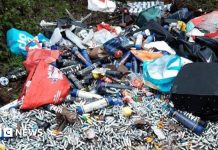 Crackdown stops fly-tipping on bridleway, Northamptonshire council says