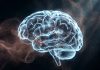 Common air pollutants are linked to higher risks of Lewy body and Parkinson’s dementias