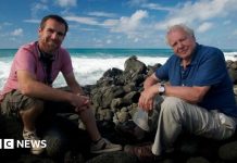 ‘Working with Sir David Attenborough was just magic’