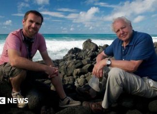 ‘Working with Sir David Attenborough was just magic’