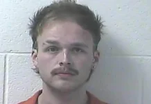 Chase Matthew’s bassist charged with child sex crimes following music festival