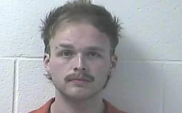 Chase Matthew’s bassist charged with child sex crimes following music festival