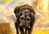 Showbiz Today: ‘Sometimes the biggest star on TV has four legs and a biscuit habit’