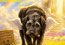 Showbiz Today: ‘Sometimes the biggest star on TV has four legs and a biscuit habit’