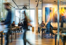 Why Culture Drives How Organizations Decide Under Pressure