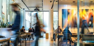 Why Culture Drives How Organizations Decide Under Pressure