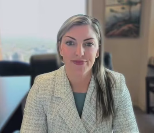 Brianne Gardner’s Market Outlook: North American Large-Caps – BNN Bloomberg