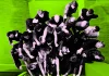 Investors Flocking to Super-Anonymous Cryptocurrency Used for the Sketchiest Stuff Imaginable