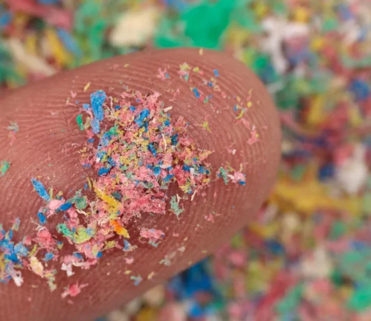 This popular fermented food may help flush microplastics from the body