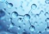 ‘Toxic’ Molecule Plays Vital Role in Gene Regulation and Development