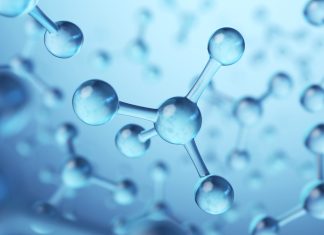 ‘Toxic’ Molecule Plays Vital Role in Gene Regulation and Development