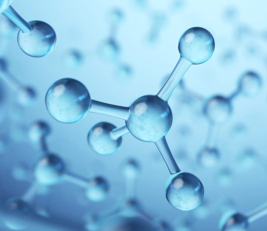 ‘Toxic’ Molecule Plays Vital Role in Gene Regulation and Development