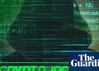 Lost your crypto access code? Be wary, there‘s a scam for that too | Cryptocurrencies