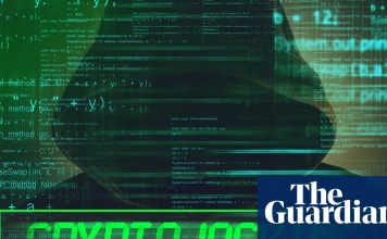 Lost your crypto access code? Be wary, there‘s a scam for that too | Cryptocurrencies