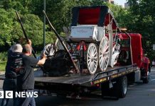 Teenager dies in horse-drawn carriage accident in New York – BBC