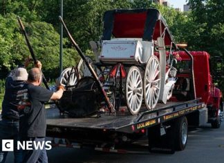 Teenager dies in horse-drawn carriage accident in New York – BBC