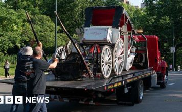 Teenager dies in horse-drawn carriage accident in New York – BBC