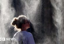 More than half of France under red alerts as heatwave intensifies – BBC