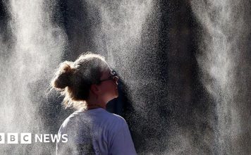 More than half of France under red alerts as heatwave intensifies – BBC