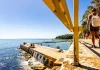 Sydney prestige property: The top 10 suburbs for house price growth and what they have in common
