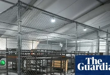 ‘Alligator Alcatraz’ detainees say guards deny them food and clean water until they sign English documents | Florida