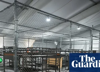 ‘Alligator Alcatraz’ detainees say guards deny them food and clean water until they sign English documents | Florida