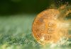 Does No One Want Bitcoin Anymore? Crypto In ‘Desperate’ Need For New Narrative, Says Commentator As Smart