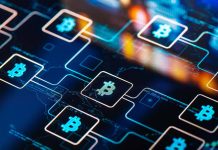 Cryptocurrency Networks Explained: How Blockchain Transactions Work