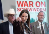 USDA faces scrutiny as screwworm cases mount